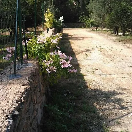 Salento Vacanze بيت للعطل